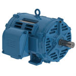02518OT3V284T-W40G WEG 25HP, General Purpose Electric Motor, 1800RPM