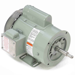 119448.00 Leeson 1HP Agriculture Duty Milk Transfer Pump Electric Motor, 3600RPM