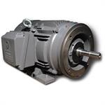 XR3-CI-TF-286JM-2-BR-D-40 Techtop 40HP Electric Pump Motor, 3600RPM
