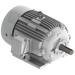 EP01585 Teco-Westinghous 15 HP Cast Iron Electric Motor, 900 RPM