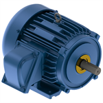 XP1/56 Teco-Westinghouse 1.5HP Explosion Proof Electric Motor, 1200 RPM
