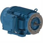 04012ET3E364JM-W22 WEG 40HP JM Close Coupled Pump Electric Motor, 1200RPM