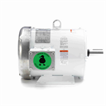 132196.00 Leeson Washguard Motor, 3 HP, 1800 RPM