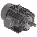 NP0254S 25 HP Teco-Westinghouse Cast Iron Electric Motor, 1800 RPM