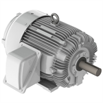 EP07585 Teco-Westinghouse 75HP Cast Iron Electric Motor, 900 RPM