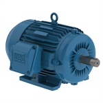 00309ST3HIE215T-W22 WEG 3HP Severe Duty Electric Motor, 900RPM