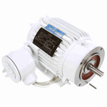 122397.00 Leeson 2HP Washguard Explosion Proof Electric Motor, 1800RPM