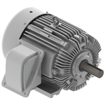 EP06065 Teco-Westinghouse 60 HP Cast Iron Electric Motor, 1200 RPM