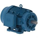 01536ET3E254T-W22G WEG 15HP Severe Duty Electric Motor, 3600RPM