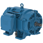 10036OT3G365TS-RFVFD WEG 100HP Refrigeration Electric Motor, 3600RPM
