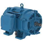 25036OT3G445TS-RFVFD WEG 250HP Refrigeration Electric Motor, 3600RPM