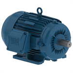 00318ET3H182T-W22 WEG 3HP Severe Duty Electric Motor, 1800RPM