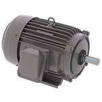 NP0104 10 HP Teco-Westinghouse Cast Iron Electric Motor, 1800 RPM