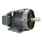 GR3-AL-TF-215TC-4-B-D-10 Techtop 10HP Electric Motor, 1800RPM