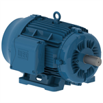 04018ET3E324T-W22G WEG 40HP Severe Duty Electric Motor, 1800RPM