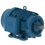 02536ET3E284TS-W22 WEG 25HP Severe Duty Electric Motor, 3600RPM