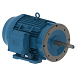 03018ET3H286JP-W22 WEG 30HP JP Close Coupled Pump Electric Motor, 1800RPM