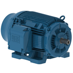 03009ET3E364T-W22 WEG 30HP Severe Duty Electric Motor, 900RPM