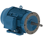 01512ET3E284JP-W22 WEG 15HP JP Close Coupled Pump Electric Motor, 1200RPM
