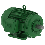 00158EG3EL145T-W22 WEG 1HP Electric Motor, 1800RPM