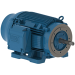 06018ET3E364JP-W22 WEG 60HP JP Close Coupled Pump Electric Motor, 1800RPM