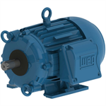 01089EP3PCT215V-W22 WEG 2.5/10HP Cooling Tower Electric Motor, 900/1800RPM