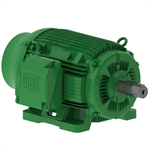 12512EG3G445T-W22 WEG 125HP Electric Motor, 1200RPM