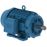 00509ET3H254T-W22 WEG 5HP Severe Duty Electric Motor, 900RPM