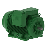 15012EG3G449T-W22 WEG 150HP Electric Motor, 1200RPM