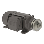 00536ES3ESA80ML WEG 5 HP Saw Arbor Electric Motor, 3600 RPM