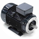 R378A Marathon 2HP/1.5kW IEC Metric Globetrotter Electric Motor, 1800RPM