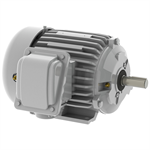 EP0/785 Teco-Westinghous 3/4 HP Cast Iron Electric Motor, 900 RPM