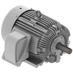 EP1004 Teco-Westinghouse 100HP Cast Iron Electric Motor, 1800 RPM
