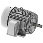 EP0604R Teco-Westinghous 60 HP Cast Iron Electric Motor, 1800 RPM