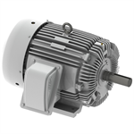 EP0604R Teco-Westinghouse 60 HP Cast Iron Electric Motor, 1800 RPM