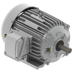 EP0054 Teco-Westinghouse 5HP Cast Iron Electric Motor, 1800 RPM