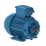 E0.7536ET3WAX80F3-W2 WEG 0.75kW(1HP) Electric Motor, 3000RPM