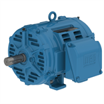 02036OT3P254TF2-W40 WEG 20HP, General Purpose Electric Motor, 3600RPM