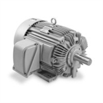 EP0302C 30 HP Teco-Westinghouse Cast Iron Electric Motor, 3600 RPM